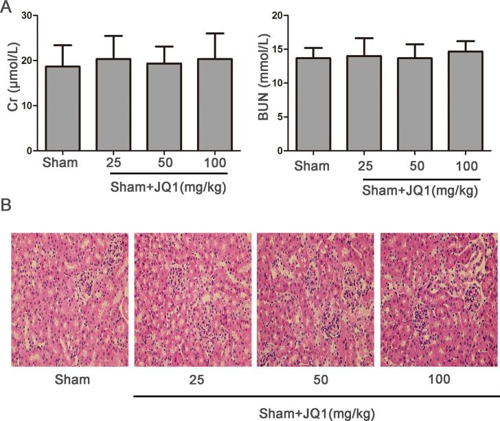 https://cdn.ncbi.nlm.nih.gov/pmc/blobs/2989/6475721/297b94e861e9/mmcfigs1.jpg