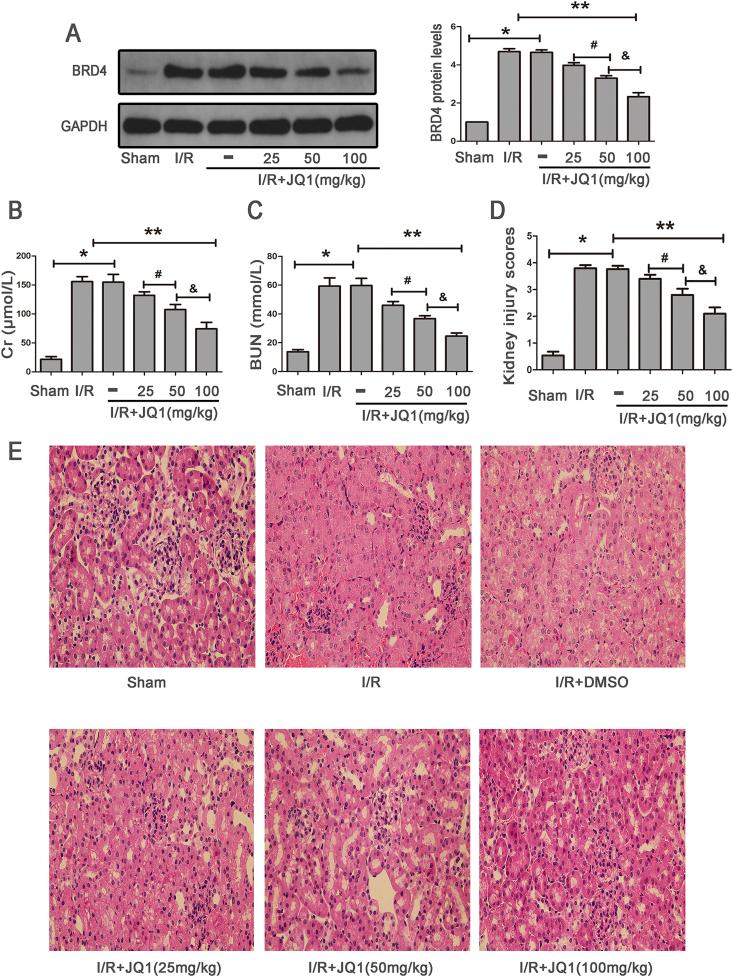 https://cdn.ncbi.nlm.nih.gov/pmc/blobs/2989/6475721/5fc26df754f1/gr2.jpg