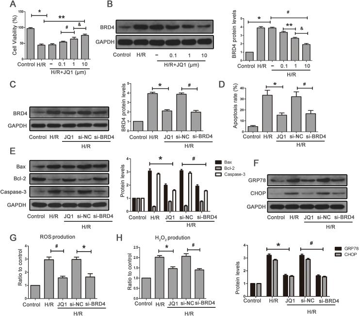 https://cdn.ncbi.nlm.nih.gov/pmc/blobs/2989/6475721/8bac3a17f707/gr5.jpg
