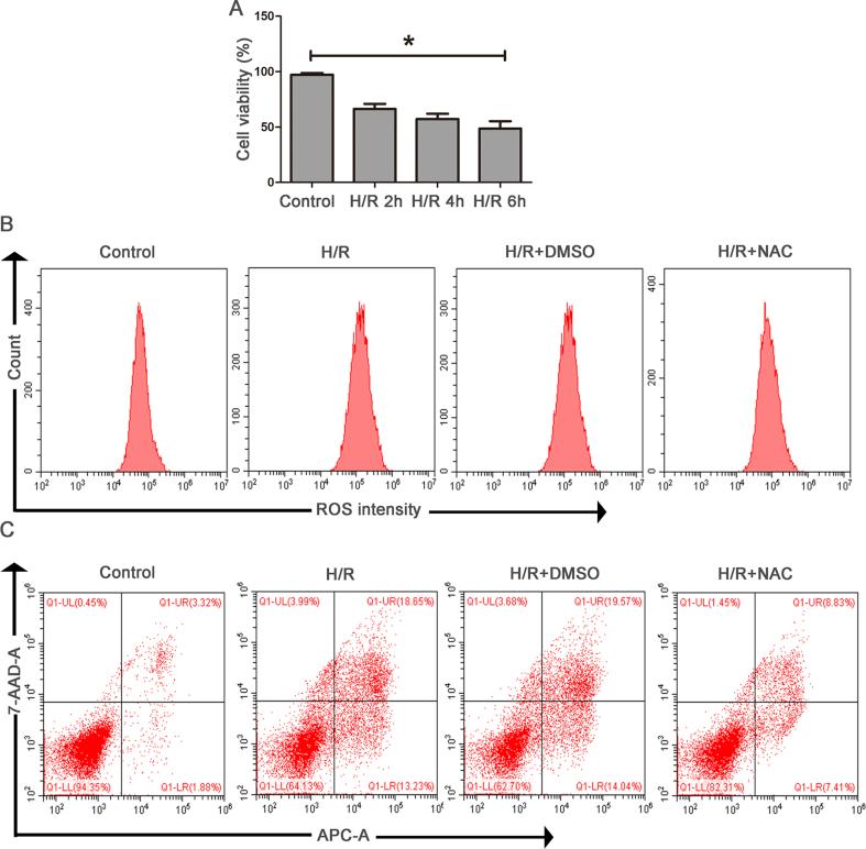 https://cdn.ncbi.nlm.nih.gov/pmc/blobs/2989/6475721/acecc1b62bfd/mmcfigs2.jpg