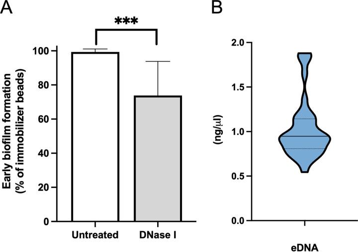 https://cdn.ncbi.nlm.nih.gov/pmc/blobs/2989/9045124/942f567ac8b2/spectrum.00351-22-f004.jpg