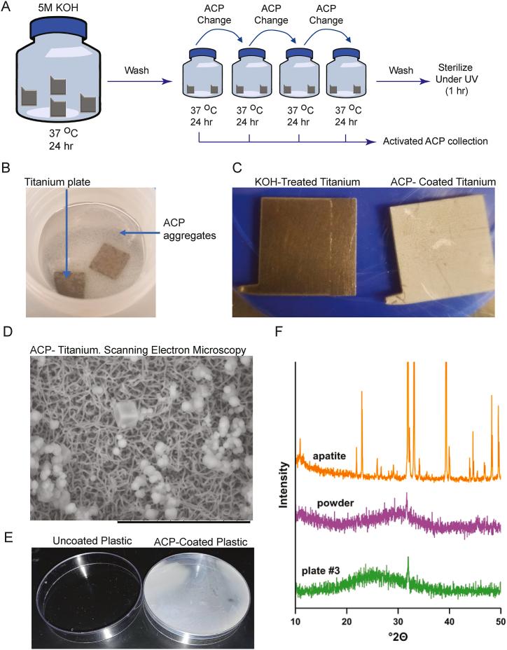 https://cdn.ncbi.nlm.nih.gov/pmc/blobs/298c/11808503/811c5b3db6d2/gr1.jpg