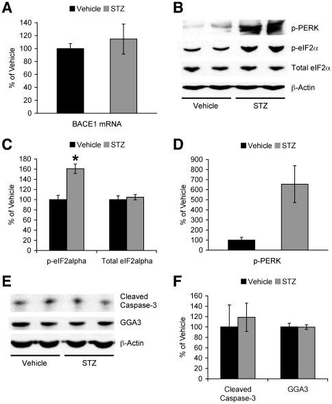 https://cdn.ncbi.nlm.nih.gov/pmc/blobs/298c/3293895/7c9dba6f63e5/pone.0032792.g003.jpg