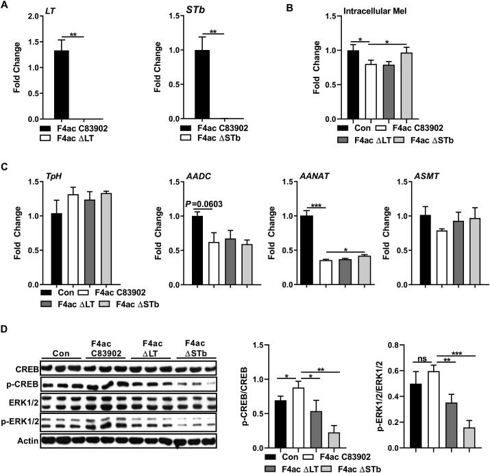 https://cdn.ncbi.nlm.nih.gov/pmc/blobs/298c/9556787/55fdb6e97e09/gr2.jpg