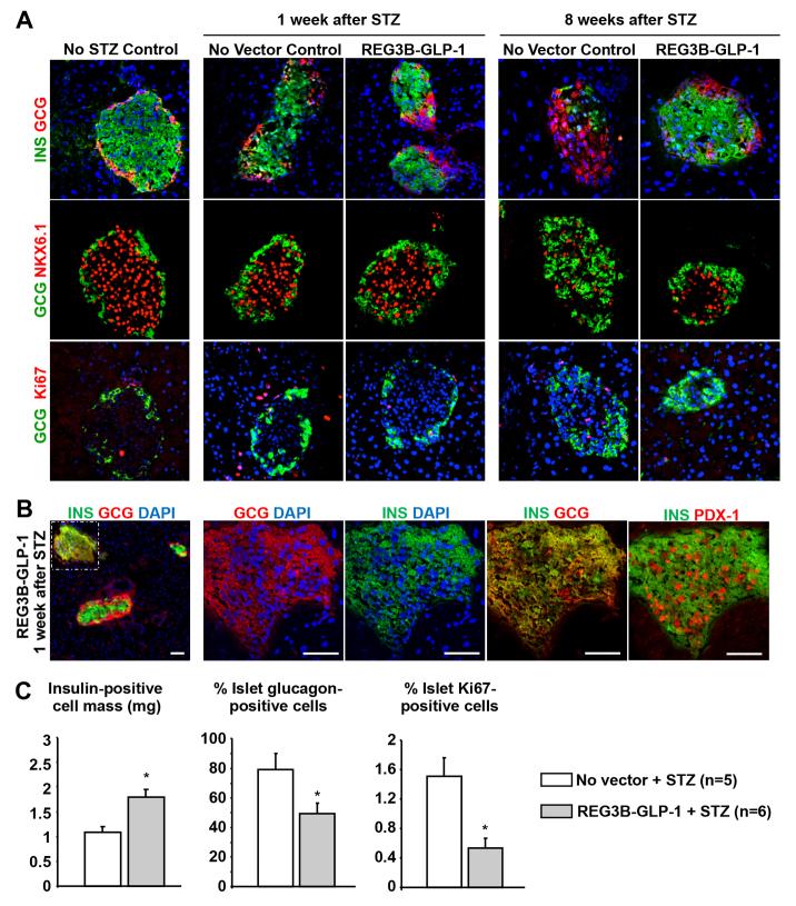 https://cdn.ncbi.nlm.nih.gov/pmc/blobs/298e/3759343/63051b4a4ee1/DMM012591F3.jpg