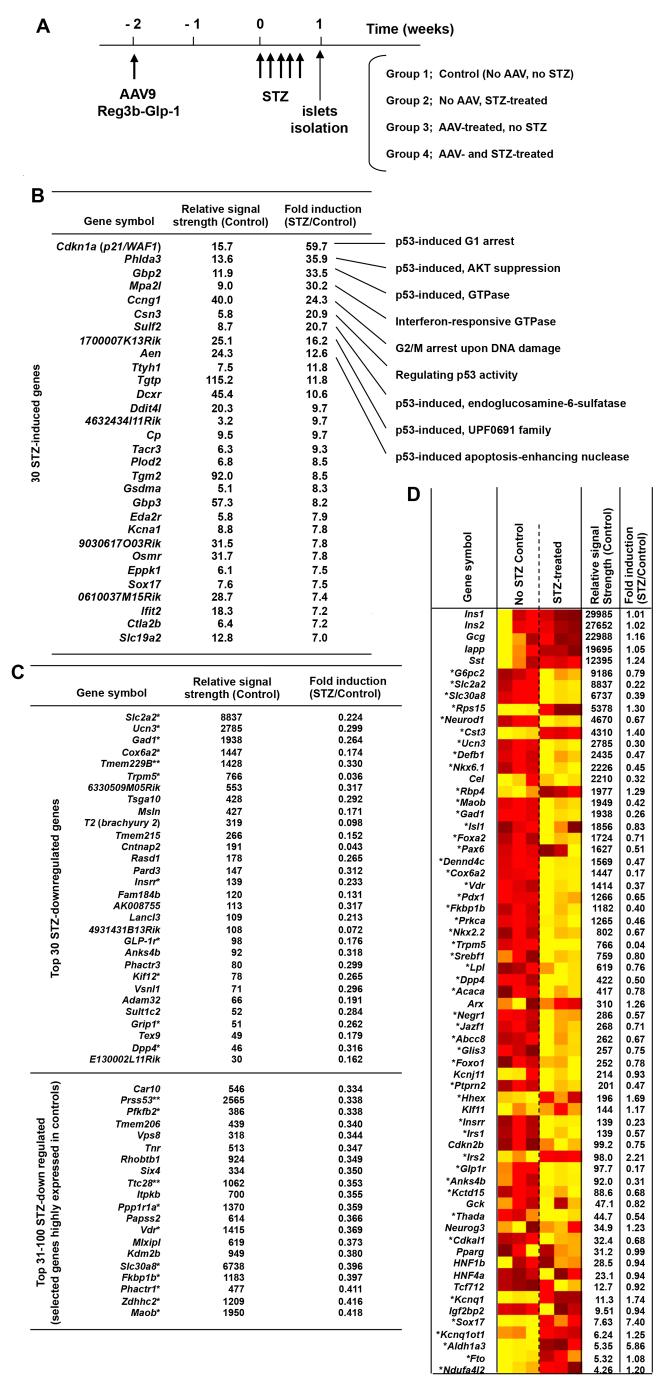 https://cdn.ncbi.nlm.nih.gov/pmc/blobs/298e/3759343/8a259a403983/DMM012591F5.jpg