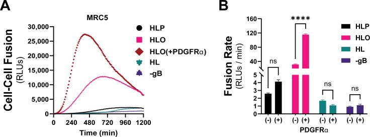 https://cdn.ncbi.nlm.nih.gov/pmc/blobs/2991/12090739/538c1b81eb9b/jvi.00035-25.f004.jpg