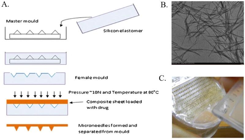 https://cdn.ncbi.nlm.nih.gov/pmc/blobs/2994/10763865/9541e8f88e3e/IDRD_A_2296349_F0004_C.jpg