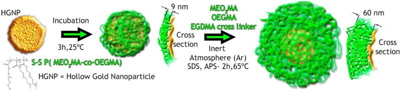 https://cdn.ncbi.nlm.nih.gov/pmc/blobs/2994/10763865/a62e92ca3ff0/IDRD_A_2296349_F0007_C.jpg