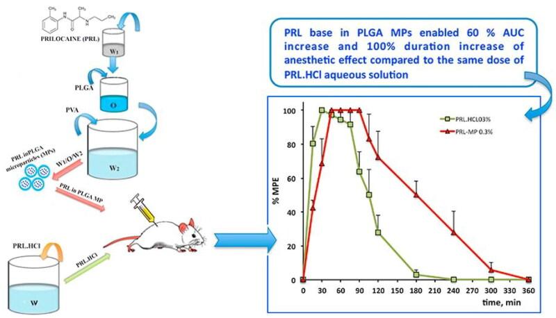 https://cdn.ncbi.nlm.nih.gov/pmc/blobs/2994/10763865/c3308eb79a22/IDRD_A_2296349_F0006_C.jpg