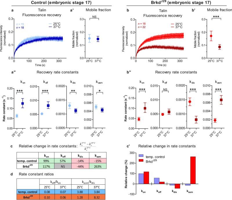 https://cdn.ncbi.nlm.nih.gov/pmc/blobs/2994/4710244/90c55d70530a/4149fig2.jpg
