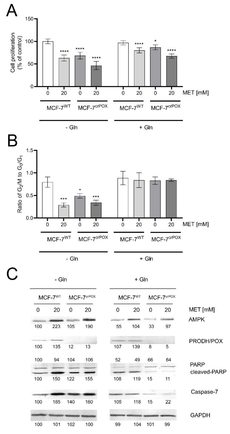 https://cdn.ncbi.nlm.nih.gov/pmc/blobs/2994/8699520/67b39819bc04/biomolecules-11-01888-g001.jpg
