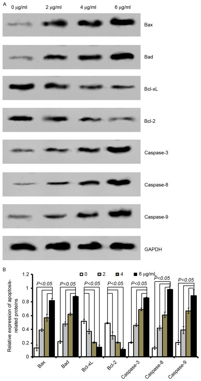 https://cdn.ncbi.nlm.nih.gov/pmc/blobs/2995/5802150/d95529631700/MMR-17-03-3527-g04.jpg