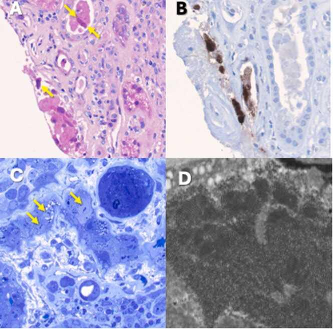 https://cdn.ncbi.nlm.nih.gov/pmc/blobs/2998/12362014/e9d249066d67/gr1.jpg