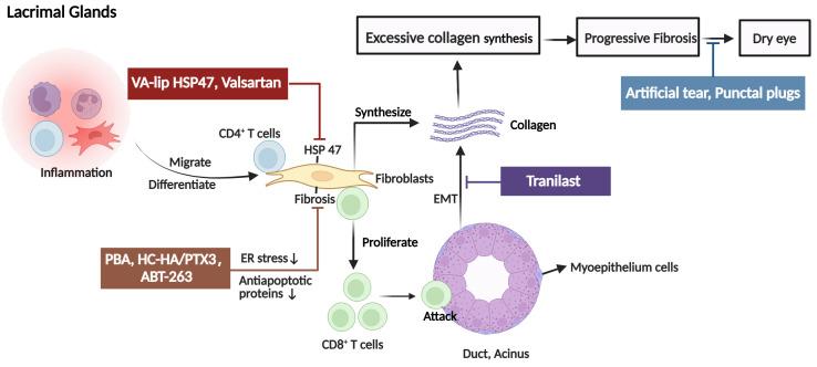 https://cdn.ncbi.nlm.nih.gov/pmc/blobs/2998/9905686/3167f6aa6df5/fimmu-14-1092108-g002.jpg