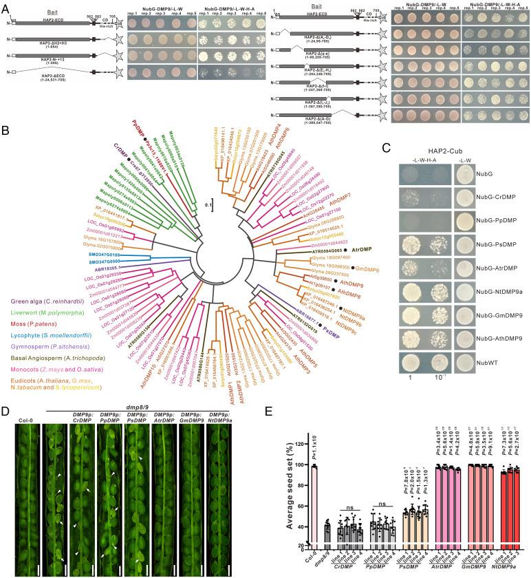 https://cdn.ncbi.nlm.nih.gov/pmc/blobs/2999/9659367/7be59f939acc/pnas.2207608119fig03.jpg