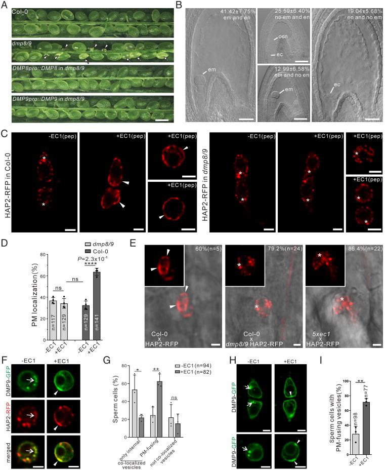https://cdn.ncbi.nlm.nih.gov/pmc/blobs/2999/9659367/aa842f641480/pnas.2207608119fig01.jpg