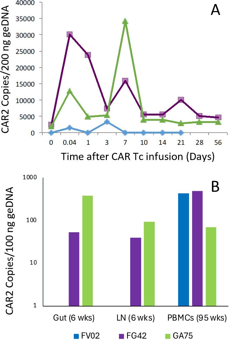 https://cdn.ncbi.nlm.nih.gov/pmc/blobs/299a/12090794/89a6076245ba/jvi.01933-24.f004.jpg