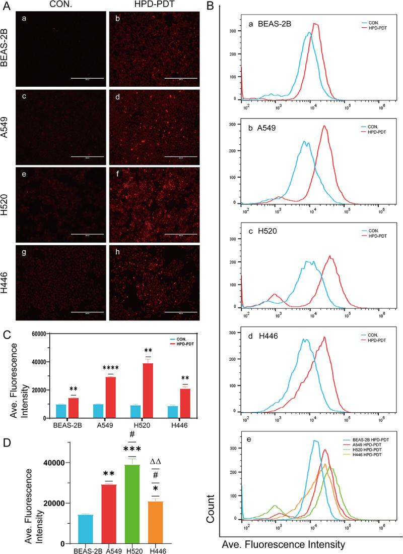 https://cdn.ncbi.nlm.nih.gov/pmc/blobs/299b/12320871/1c6484bdd38e/KCBT_A_2542011_F0002_OC.jpg