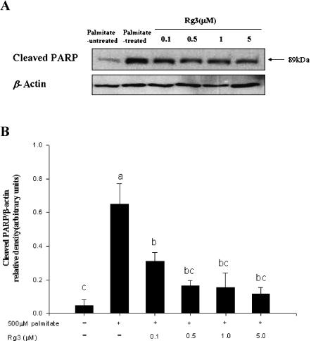 https://cdn.ncbi.nlm.nih.gov/pmc/blobs/299e/2803130/169a6253639c/jcbn09-49f02.jpg
