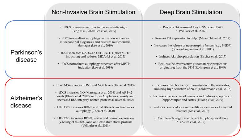 https://cdn.ncbi.nlm.nih.gov/pmc/blobs/299e/9692544/bcf18c86c295/ijms-23-13775-g003.jpg