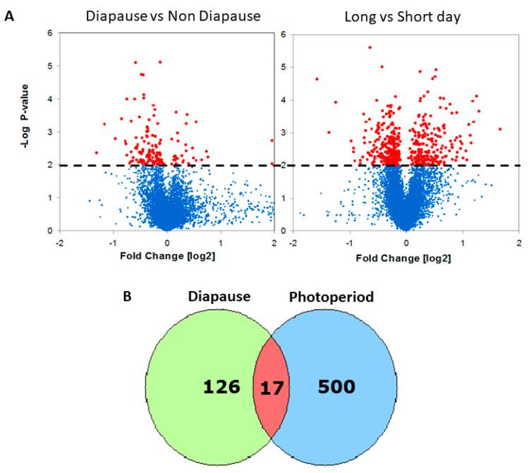 https://cdn.ncbi.nlm.nih.gov/pmc/blobs/29a0/9100521/42bcf42c9c7f/ijms-23-04935-g001.jpg