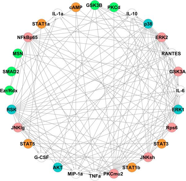 https://cdn.ncbi.nlm.nih.gov/pmc/blobs/29a5/4094931/f67efae5617e/1752-0509-8-77-6.jpg