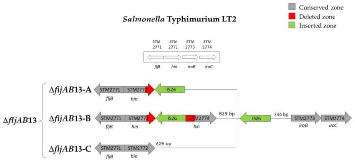 https://cdn.ncbi.nlm.nih.gov/pmc/blobs/29a8/7767384/45e5e0bec895/microorganisms-08-02049-g0A6.jpg