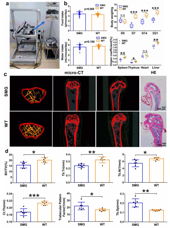 https://cdn.ncbi.nlm.nih.gov/pmc/blobs/29ad/11988970/bda1a615730a/ijms-26-03094-g001.jpg