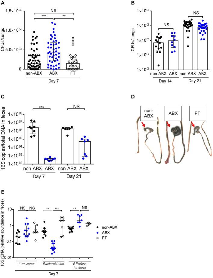 https://cdn.ncbi.nlm.nih.gov/pmc/blobs/29b0/6246741/eac95f93c97e/fimmu-09-02656-g0002.jpg