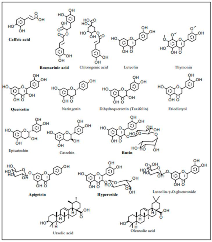https://cdn.ncbi.nlm.nih.gov/pmc/blobs/29b3/10534698/12cc9fab72c3/nutrients-15-04077-g004.jpg