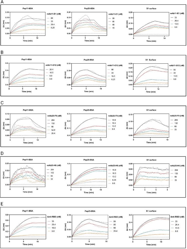 https://cdn.ncbi.nlm.nih.gov/pmc/blobs/29b4/12064773/951c655375eb/41598_2025_555_Fig5_HTML.jpg