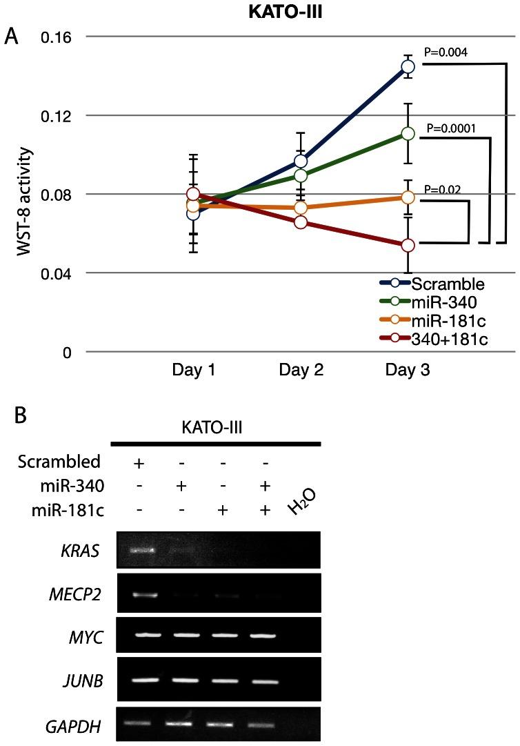 https://cdn.ncbi.nlm.nih.gov/pmc/blobs/29b4/3648557/80b66be3f35d/pone.0062589.g006.jpg