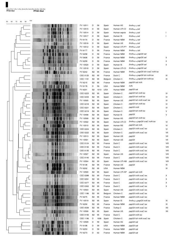 https://cdn.ncbi.nlm.nih.gov/pmc/blobs/29b5/2713252/449ff0d9b37d/1471-2180-9-132-1.jpg