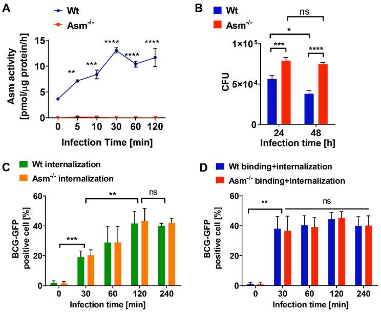 https://cdn.ncbi.nlm.nih.gov/pmc/blobs/29b8/7693114/125a10cabd4e/cells-09-02406-g002.jpg