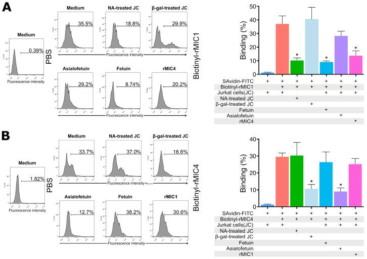 https://cdn.ncbi.nlm.nih.gov/pmc/blobs/29ba/12030039/4e6f601c3a22/pathogens-14-00372-g002.jpg