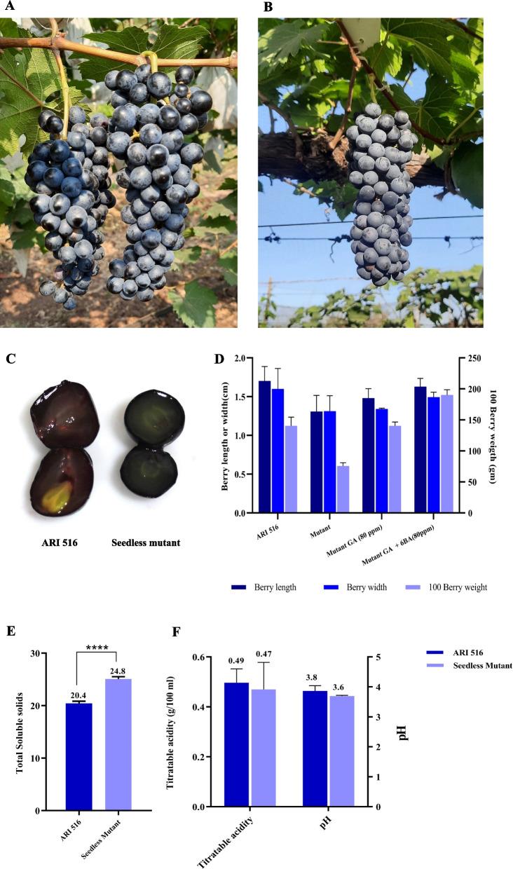https://cdn.ncbi.nlm.nih.gov/pmc/blobs/29bb/11789394/81eb005e006c/12870_2025_6075_Fig1_HTML.jpg