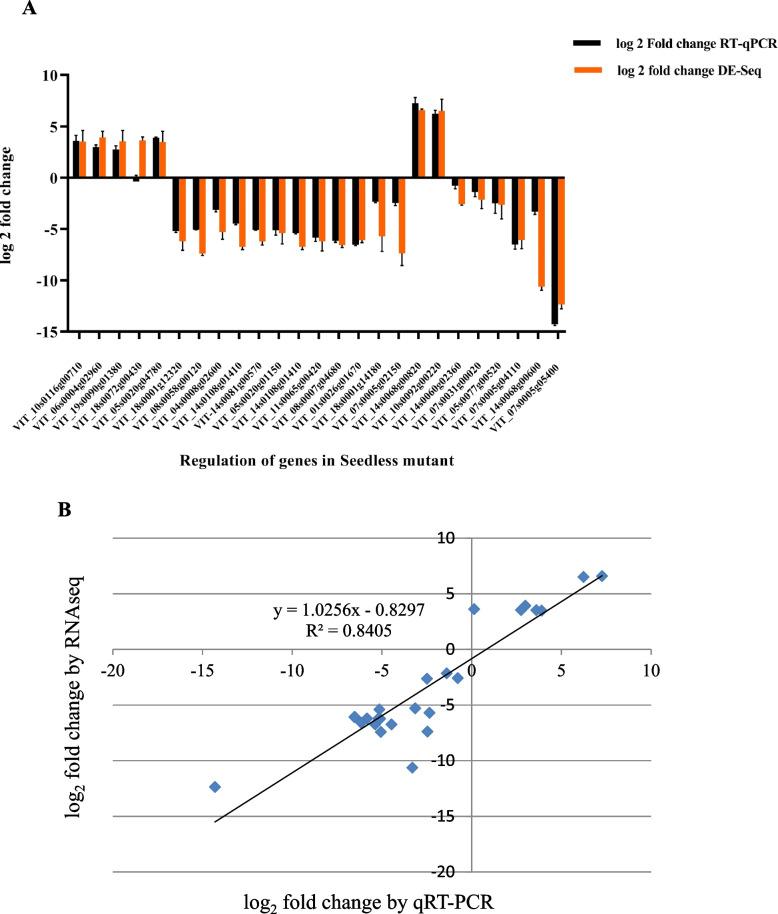 https://cdn.ncbi.nlm.nih.gov/pmc/blobs/29bb/11789394/92759be8308f/12870_2025_6075_Fig6_HTML.jpg