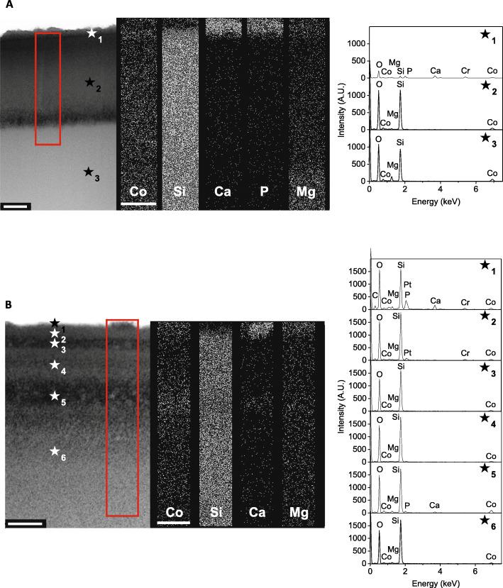 https://cdn.ncbi.nlm.nih.gov/pmc/blobs/29bb/7811269/2e81fb42e9cb/40824_2020_202_Fig4_HTML.jpg