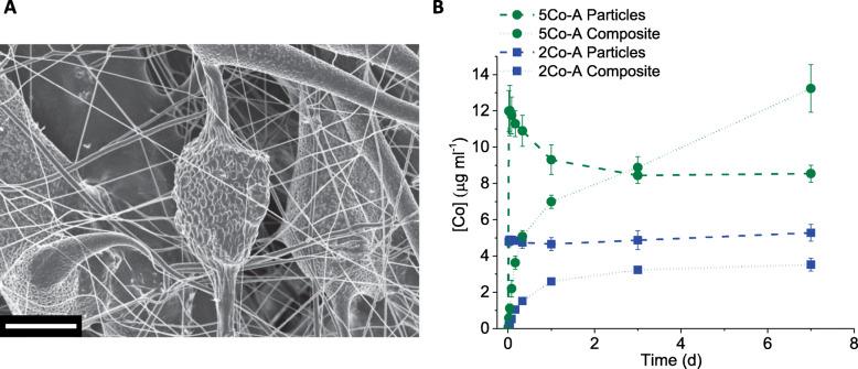 https://cdn.ncbi.nlm.nih.gov/pmc/blobs/29bb/7811269/7226738d614d/40824_2020_202_Fig5_HTML.jpg