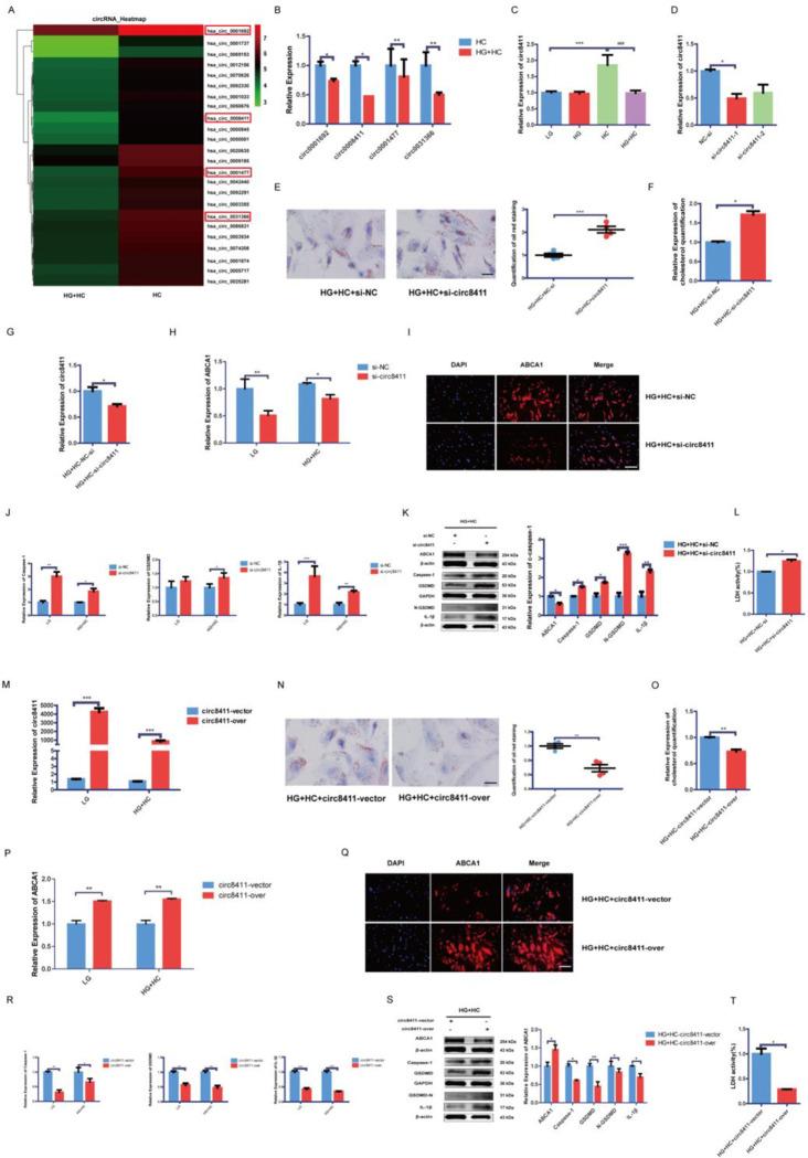 https://cdn.ncbi.nlm.nih.gov/pmc/blobs/29bc/11611192/d85bb434eb16/pone.0314628.g003.jpg