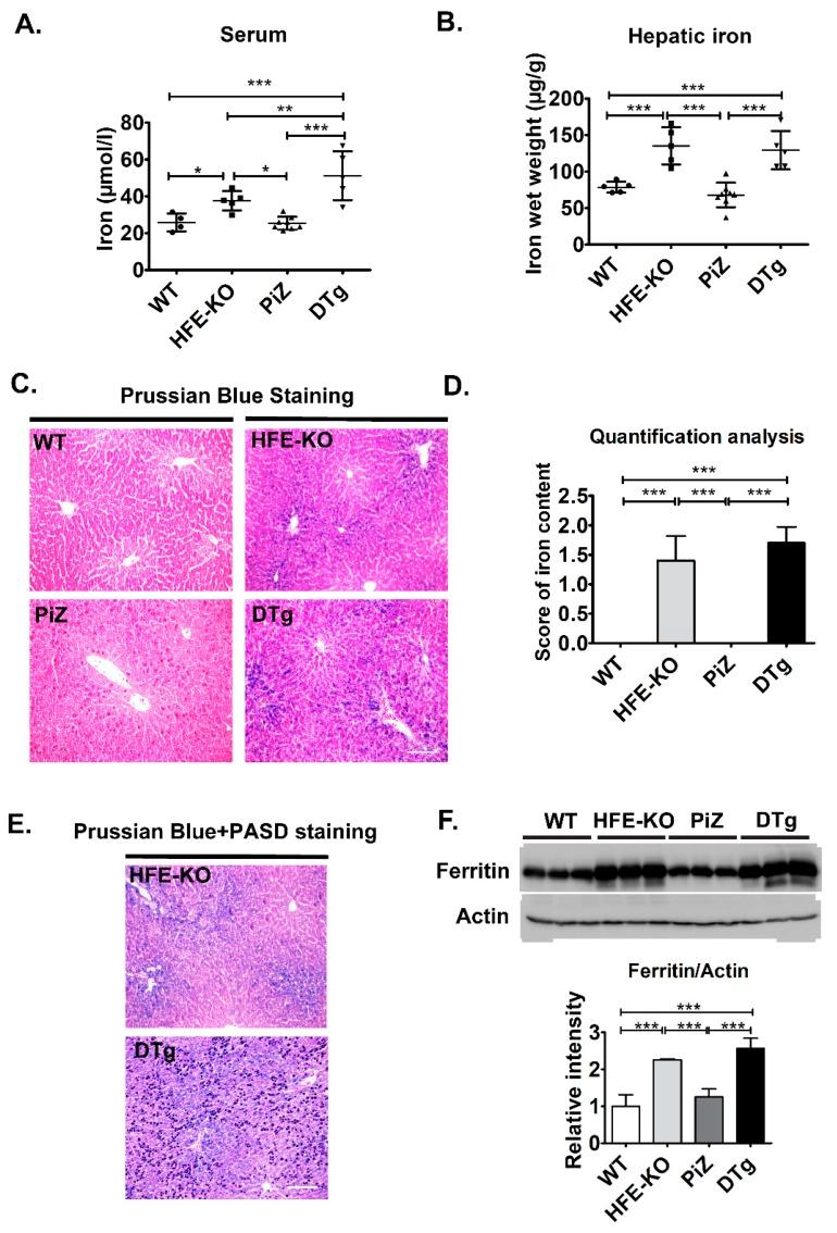 https://cdn.ncbi.nlm.nih.gov/pmc/blobs/29bc/6912453/e579f31b80bd/cells-08-01415-g003.jpg