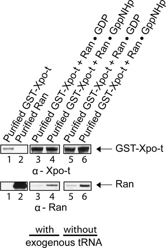 https://cdn.ncbi.nlm.nih.gov/pmc/blobs/29bf/2903676/cebe33a334aa/zmk0141095180009.jpg