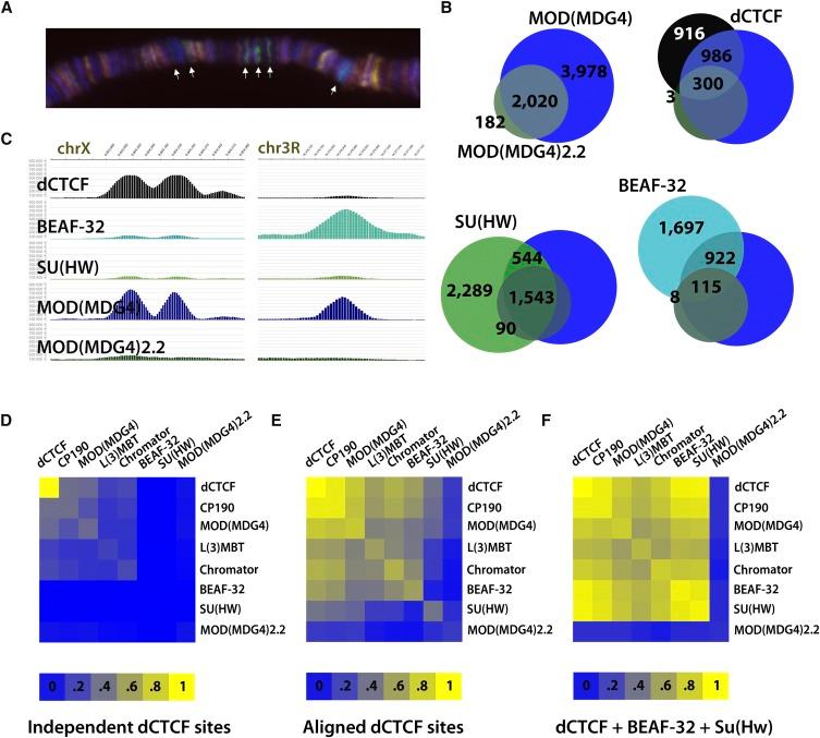 https://cdn.ncbi.nlm.nih.gov/pmc/blobs/29bf/3483547/76bff4219bdf/2176fig3.jpg