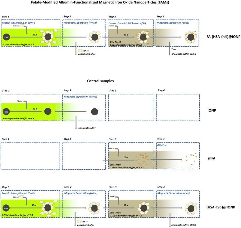 https://cdn.ncbi.nlm.nih.gov/pmc/blobs/29c1/12389551/9a63b45f0713/pharmaceutics-17-00982-g001.jpg