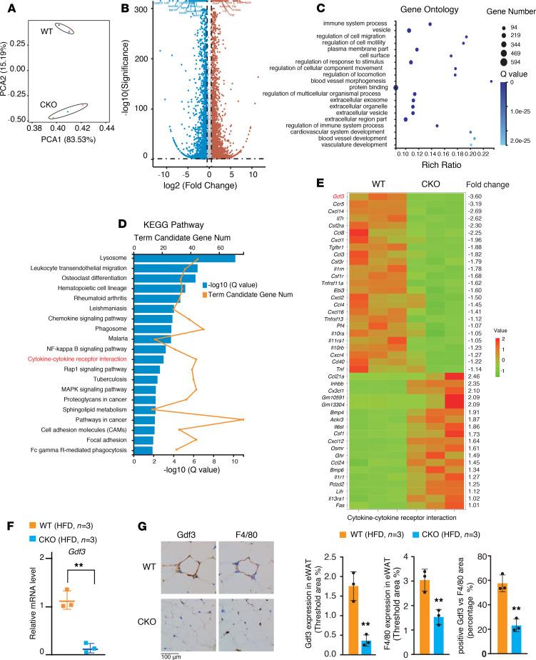 https://cdn.ncbi.nlm.nih.gov/pmc/blobs/29c1/8119191/f2b8a1887b81/jciinsight-6-143379-g148.jpg
