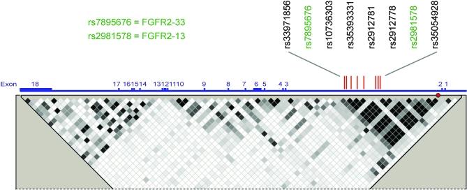 https://cdn.ncbi.nlm.nih.gov/pmc/blobs/29c2/2430898/a2ce1e21700c/pbio.0060108.g001.jpg