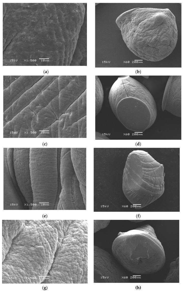 https://cdn.ncbi.nlm.nih.gov/pmc/blobs/29c2/7998679/4ef0830ec3ed/pharmaceutics-13-00338-g003.jpg
