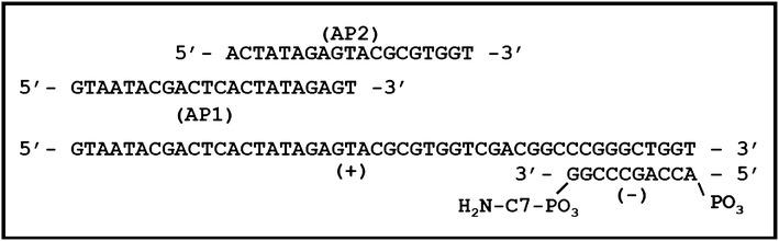 https://cdn.ncbi.nlm.nih.gov/pmc/blobs/29c3/5376698/be9d3ca62512/13007_2017_170_Fig4_HTML.jpg