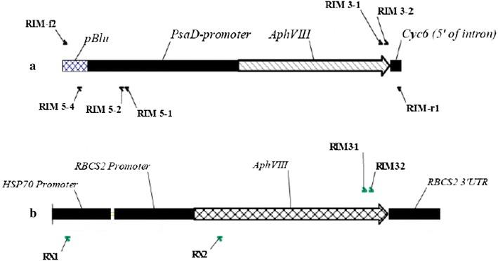 https://cdn.ncbi.nlm.nih.gov/pmc/blobs/29c3/5376698/f0ff50f27a6b/13007_2017_170_Fig1_HTML.jpg